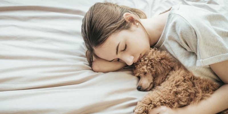 Chó màu đen sủa báo hiệu điềm xấu sắp xảy ra với bạn